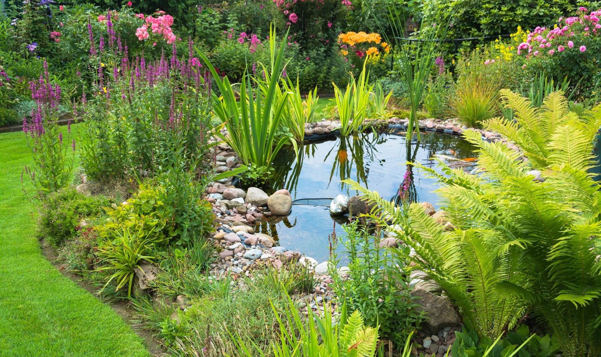Gartenteich mit Blumen und Pflanzen | Mülltonnenbox 4er

